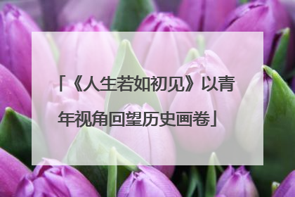 《人生若如初见》以青年视角回望历史画卷