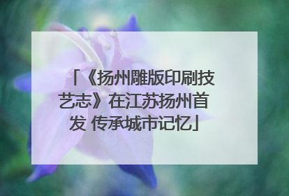《扬州雕版印刷技艺志》在江苏扬州首发 传承城市记忆
