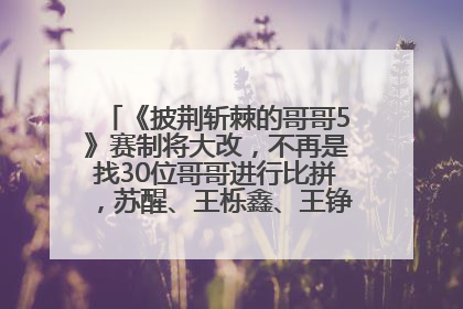 《披荆斩棘的哥哥5》赛制将大改，不再是找30位哥哥进行比拼，苏醒、王栎鑫、王铮亮、张远等多名男团选手被曝将参加