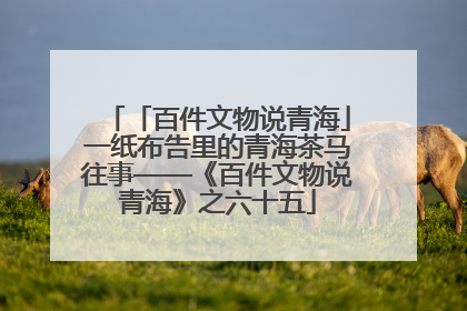 「百件文物说青海」一纸布告里的青海茶马往事——《百件文物说青海》之六十五
