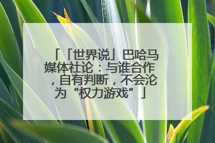 「世界说」巴哈马媒体社论：与谁合作，自有判断，不会沦为“权力游戏”