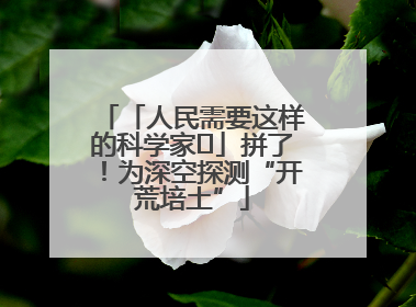 「人民需要这样的科学家⑭」拼了！为深空探测“开荒培土”