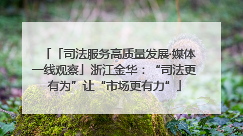 「司法服务高质量发展·媒体一线观察」浙江金华：“司法更有为”让“市场更有力”