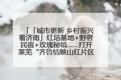 「城市更新 乡村振兴看济南」红培基地+野奢民宿+玫瑰秘境……打开莱芜“齐鲁情映山红片区”的破圈秘籍