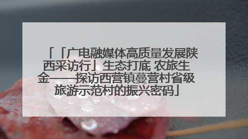 「广电融媒体高质量发展陕西采访行」生态打底 农旅生金——探访西营镇蔓营村省级旅游示范村的振兴密码