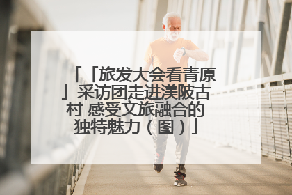 「旅发大会看青原」采访团走进渼陂古村 感受文旅融合的独特魅力（图）