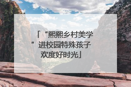 “熙熙乡村美学”进校园特殊孩子欢度好时光