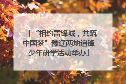 “相约雷锋城，共筑中国梦”豫辽两地追锋少年研学活动举办