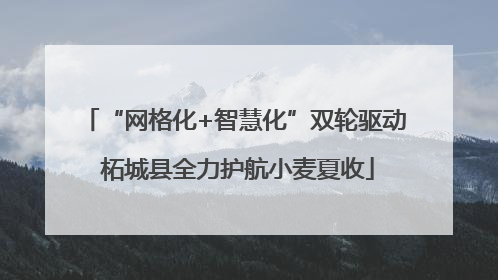 “网格化+智慧化”双轮驱动 柘城县全力护航小麦夏收