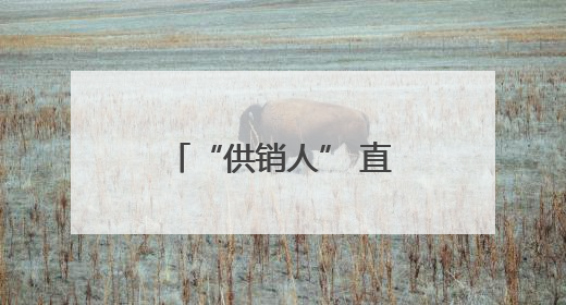 “供销人” 直播 吆喝，为土特产开辟数字销路