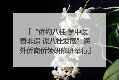 “侨约八桂·学中医 看非遗 谋八桂发展”海外侨商侨领研修班举行