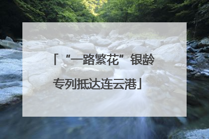 “一路繁花”银龄专列抵达连云港