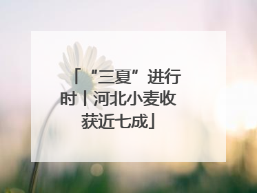 “三夏”进行时丨河北小麦收获近七成