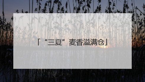 “三夏”麦香溢满仓