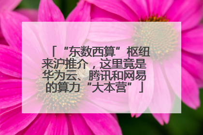 “东数西算”枢纽来沪推介，这里竟是华为云、腾讯和网易的算力“大本营”