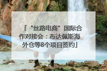 “丝路电商”国际合作对接会：布达佩斯海外仓等8个项目签约