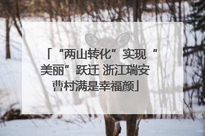 “两山转化”实现“美丽”跃迁 浙江瑞安曹村满是幸福颜