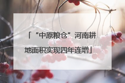 “中原粮仓”河南耕地面积实现四年连增
