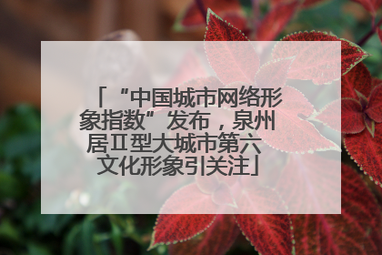 “中国城市网络形象指数”发布，泉州居Ⅱ型大城市第六 文化形象引关注