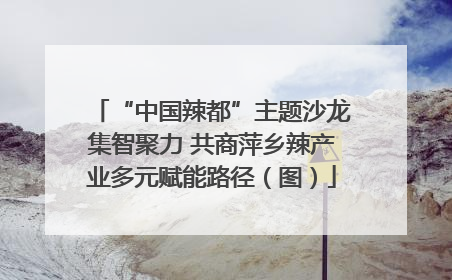 “中国辣都”主题沙龙集智聚力 共商萍乡辣产业多元赋能路径（图）
