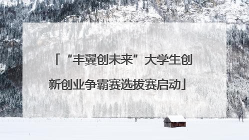 “丰翼创未来”大学生创新创业争霸赛选拔赛启动