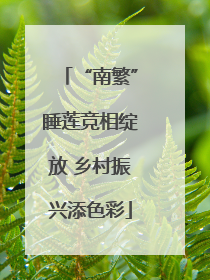 “南繁”睡莲竞相绽放 乡村振兴添色彩