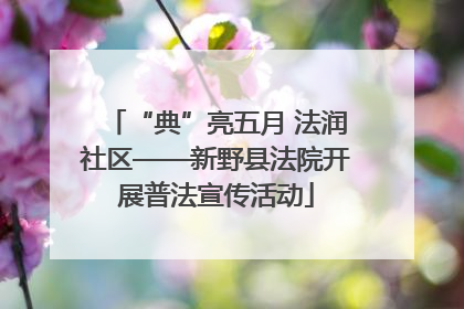 “典”亮五月 法润社区——新野县法院开展普法宣传活动