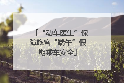 “动车医生”保障旅客“端午”假期乘车安全