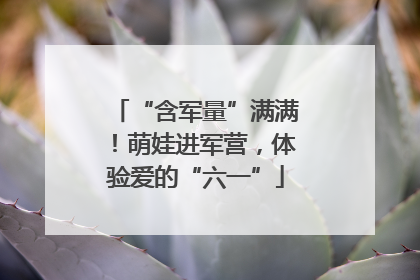 “含军量”满满！萌娃进军营，体验爱的“六一”