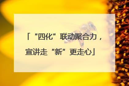 “四化”联动聚合力，宣讲走“新”更走心