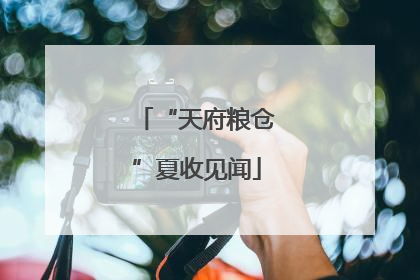 “天府粮仓”夏收见闻