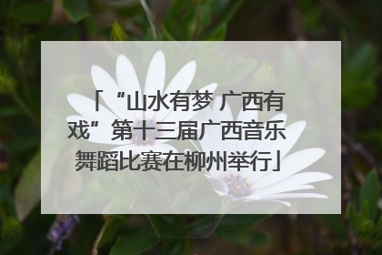 “山水有梦 广西有戏”第十三届广西音乐舞蹈比赛在柳州举行