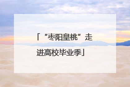 “枣阳皇桃”走进高校毕业季