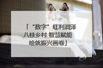 “数字”红利润泽八桂乡村 智慧赋能绘就振兴画卷