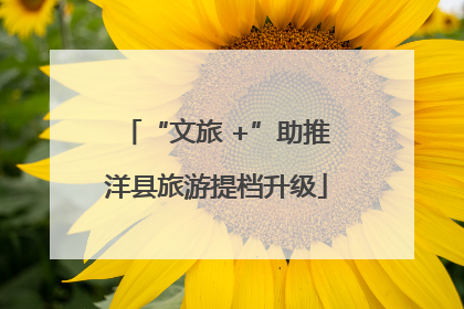 “文旅 +”助推洋县旅游提档升级