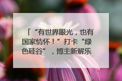 “有世界眼光，也有国家情怀！”打卡“绿色硅谷”，博主新解乐山｜网络名人四川行