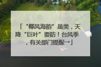 “椰风海韵”虽美，天降“巨叶”要防！台风季，有关部门提醒→