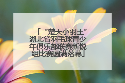 “楚天小羽王”湖北省羽毛球青少年俱乐部联赛新锐组比赛圆满落幕