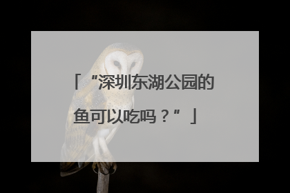 “深圳东湖公园的鱼可以吃吗？”