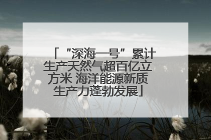 “深海一号”累计生产天然气超百亿立方米 海洋能源新质生产力蓬勃发展
