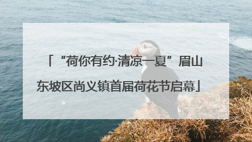 “荷你有约·清凉一夏”眉山东坡区尚义镇首届荷花节启幕