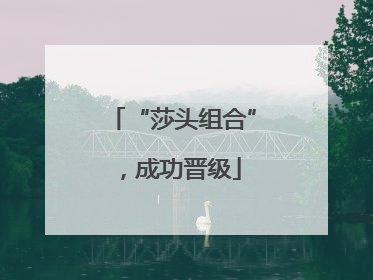 “莎头组合”，成功晋级