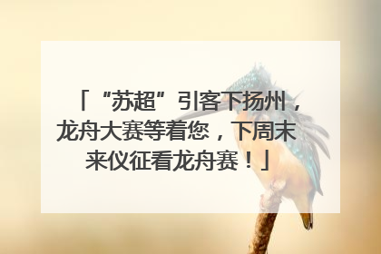 “苏超”引客下扬州，龙舟大赛等着您，下周末来仪征看龙舟赛！