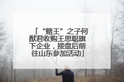 “赌王”之子何猷君收购王思聪旗下企业，接盘后前往山东参加活动