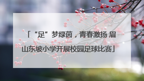 “足”梦绿茵，青春激扬 眉山东坡小学开展校园足球比赛
