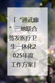 “通武廊”三地联合签发医疗卫生一体化2025年度工作方案