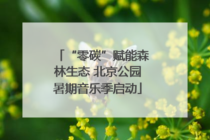 “零碳”赋能森林生态 北京公园暑期音乐季启动