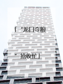 “龙口夺粮”抢收忙