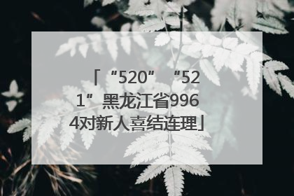 “520”“521”黑龙江省9964对新人喜结连理