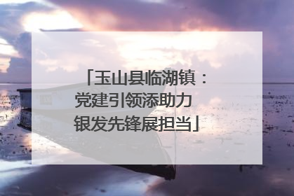 玉山县临湖镇：党建引领添助力 银发先锋展担当